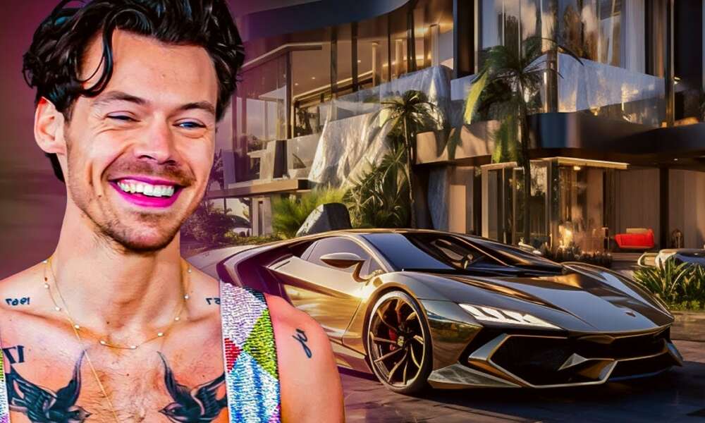 harry styles net worth
