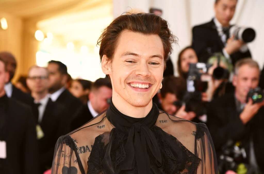 Harry Styles Net Worth