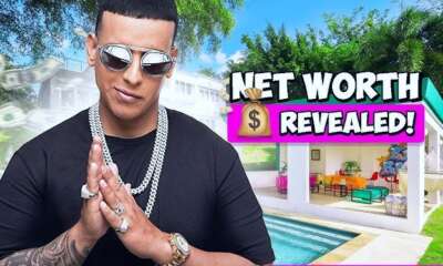 daddy yankee net worth