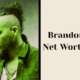 brandon lake net worth
